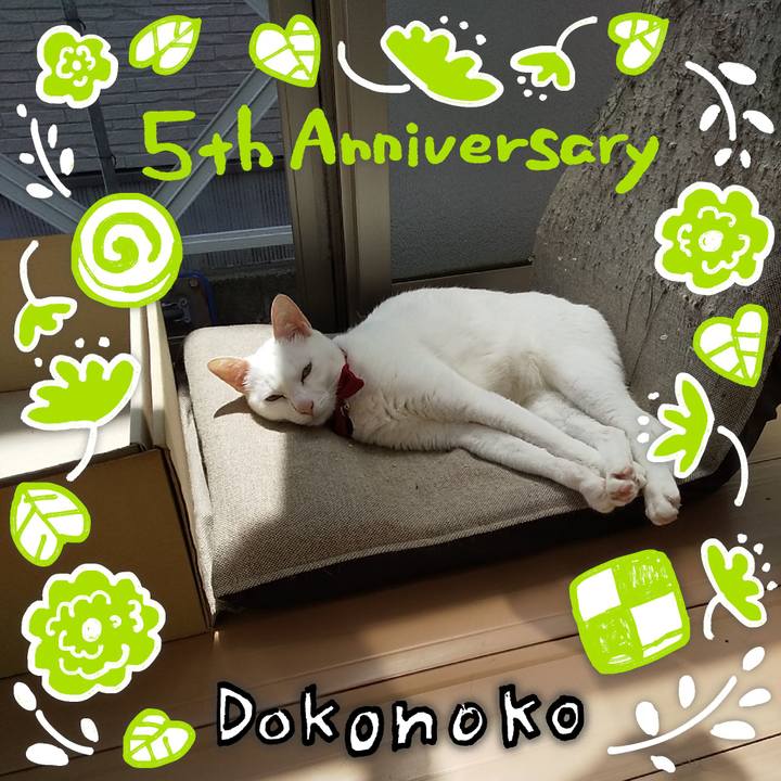 2e1b6085 851b 4fd2 a171 f1536a654b70 1622913588849