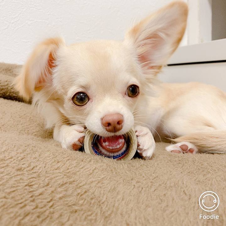 2e1b9ded 5751 4e80 bd09 2772596621e0 1601778055216