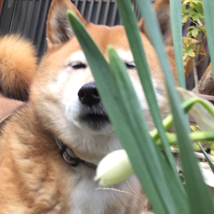 2e1bfa4c e51a 4e9a b9b1 da60db2943f5 1614577478891