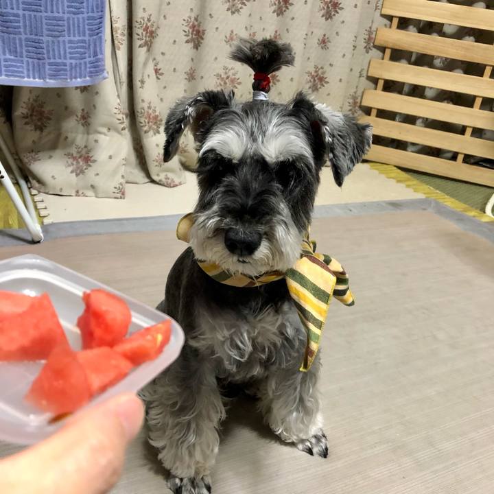 2e1c1469 bdb7 4cd4 8af2 976e85598e92 1657413705495