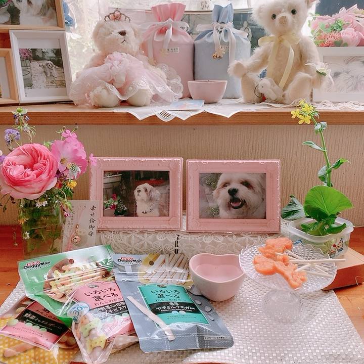 2e1d380f bba6 40ee a3f9 ce782a74e385 1747489804503