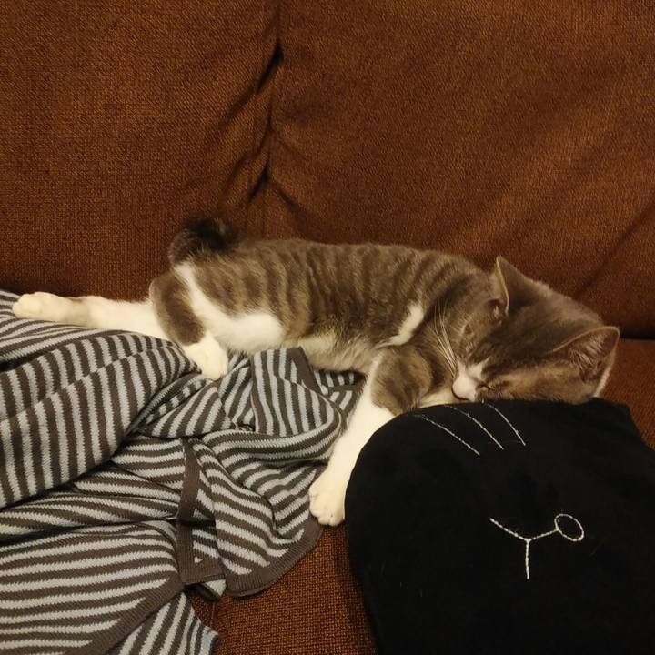 2e1d4090 3d20 4dc8 94a7 96140697c526 1586130119500