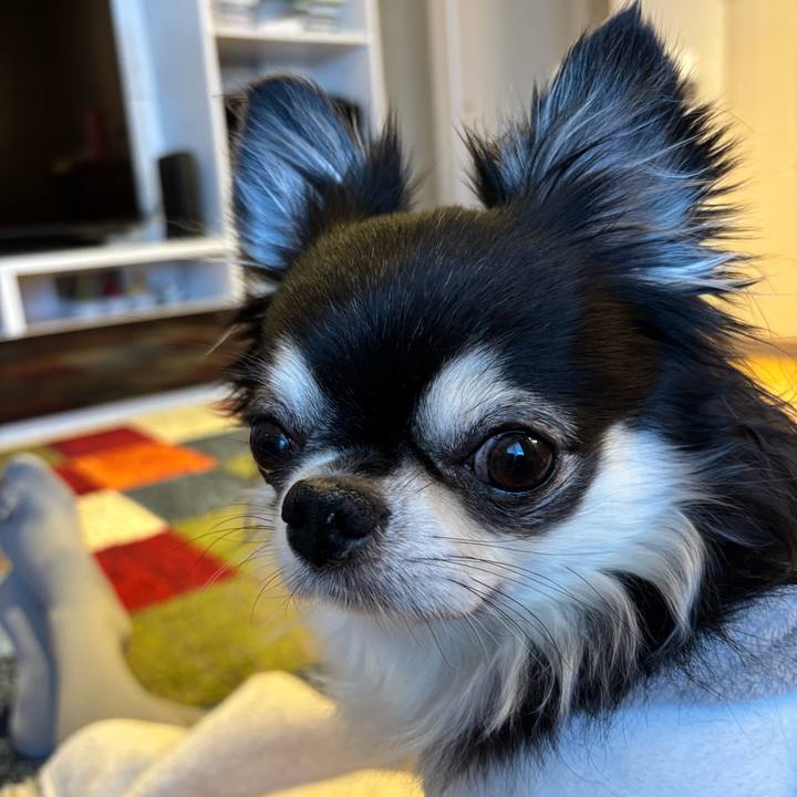 2e1d4ca3 83b1 4a6e 929f 34031ed25ec6 1764520810019