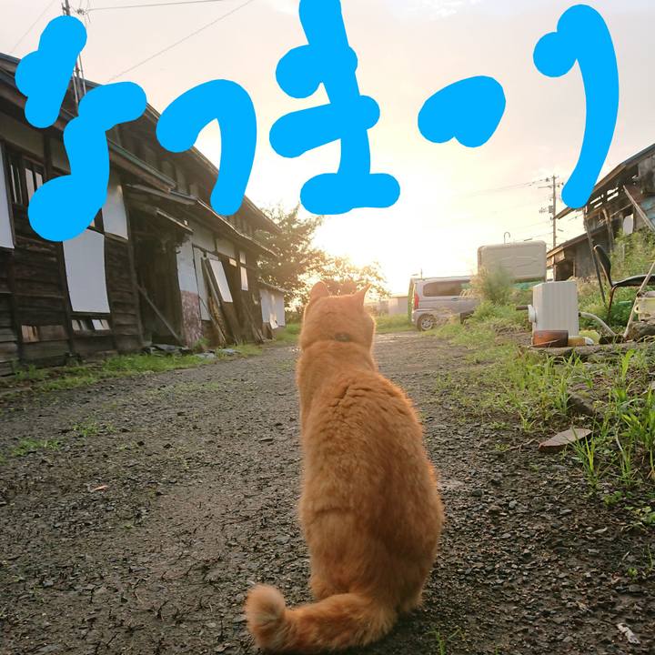 2e1d5a00 667d 4443 9ece 8388827f45a5 1661557232706