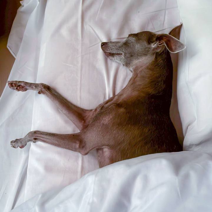 2e1d730a fe45 41ca 8b75 8ff2ed6fa0ce 1774522190324