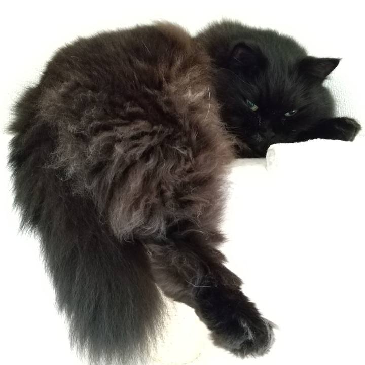 2e1d8240 caa5 45f6 8cfd 1d70faf31697 1664019526022