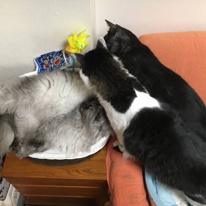 2e1d83d7 40a0 4ce9 bd27 fcf2468fa645 1557017342723