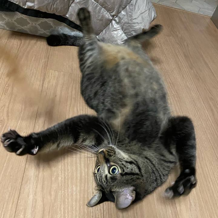 2e1d892c 6e38 42c6 84b1 2f229b4b079c 1666870752114