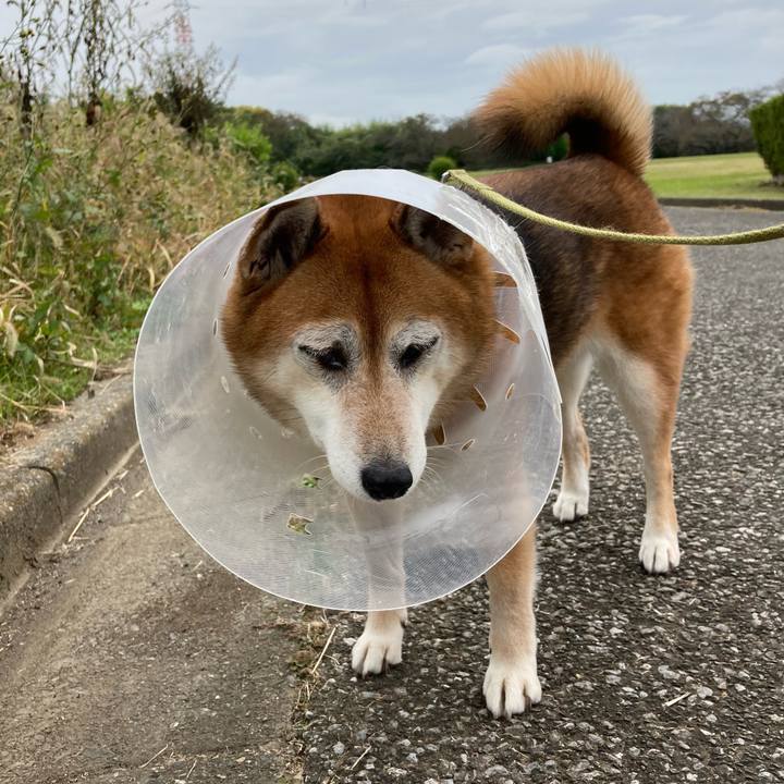 2e1d92e3 b153 4d9d b397 085c5060189b 1667277256870