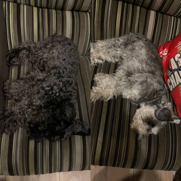 2e1dc5bd d517 42e1 862f 275f1b79ab73 1589462744728