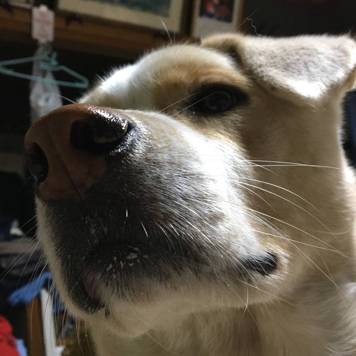 2e1df45f 1c8d 4bc2 8906 25da78f7b370 1516528615331