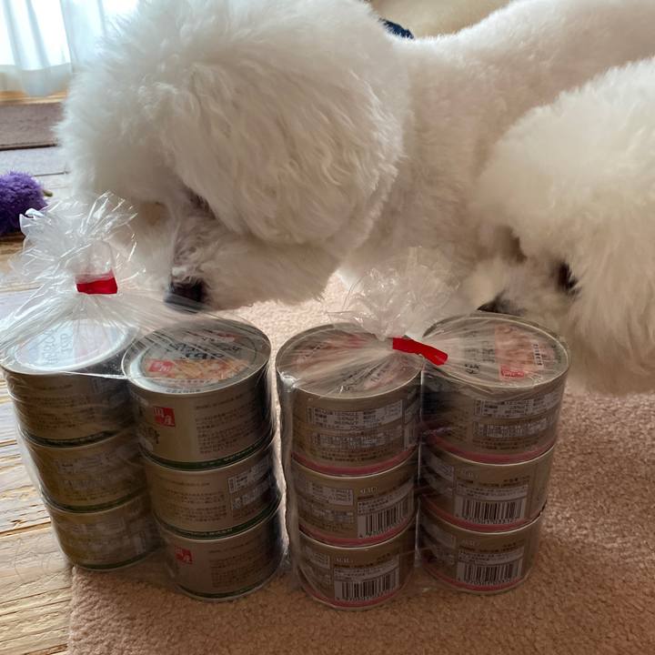 2e1df610 6f7c 4a4e 9068 283a5c8a1f09 1627112066634