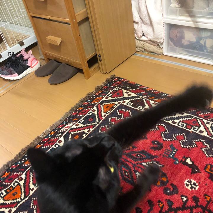 2e1e6dd5 49de 4349 80bd 096db93dd224 1595854244954