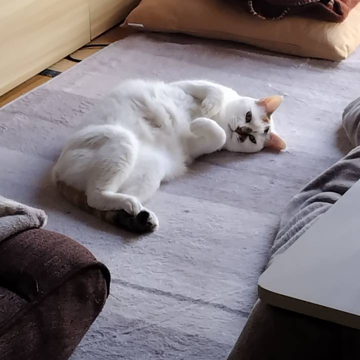 2e1e8eed 1fea 4dbc 9f55 e99960edff63 1764551739218