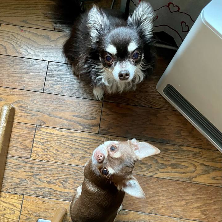 2e1eac6e 4059 491e bd2b 06e375e4ecf0 1649035425205