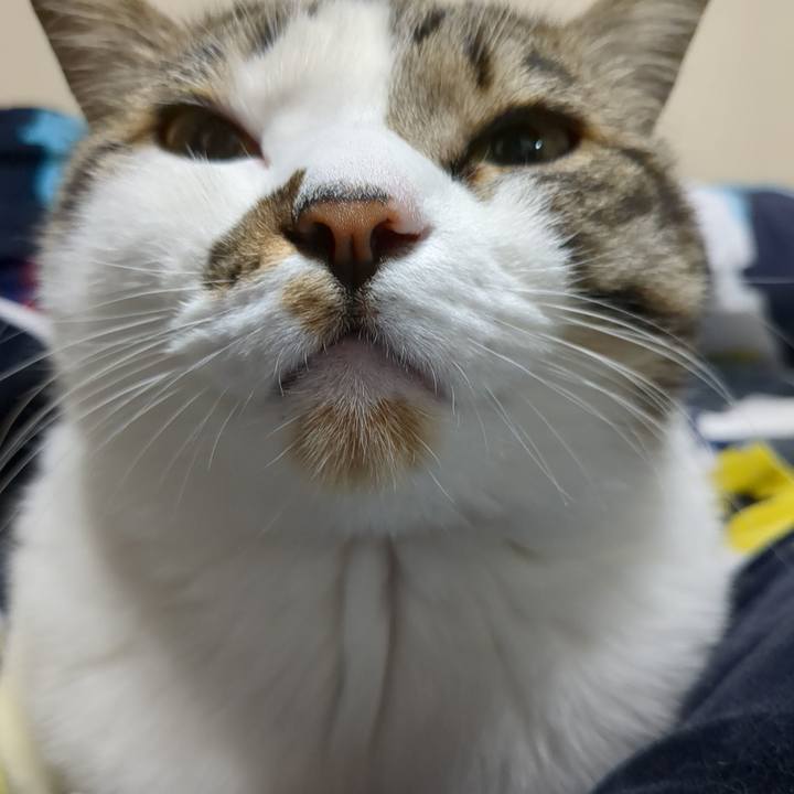 2e1edf2a 484a 48f6 9c19 ab653501bb26 1680951168780