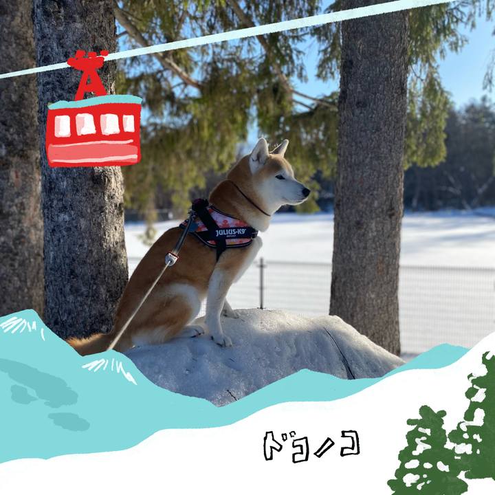 2e1efaa4 b4fb 43b6 a3ce 4d476f2d173c 1706757315683