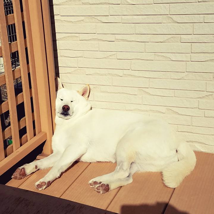 2e1f1996 d59a 453f b00a 1d5d12664c4b 1509888394858