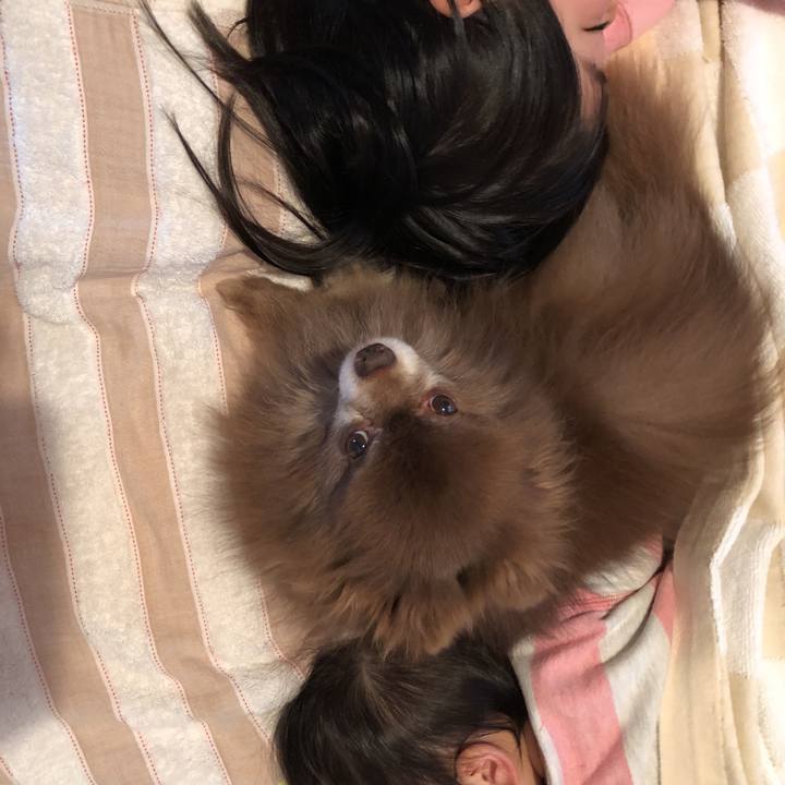 2e1f3713 875e 438e 904e d7e93df291c3 1586587783325