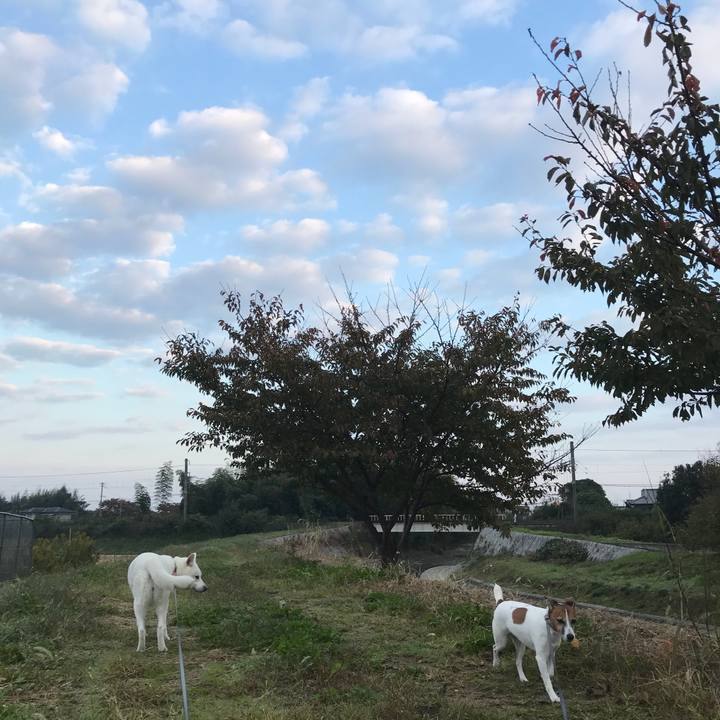 2e1f68b4 1a8c 48dd aa15 7a24dd4eb33b 1509667579840