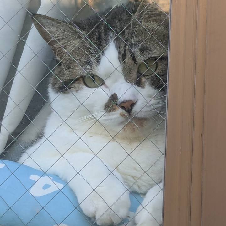 2e1f7aa9 0e30 40d0 9b45 fc54b90939f2 1758494215632