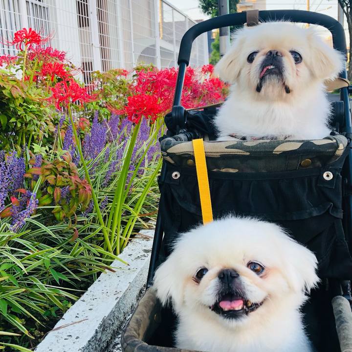 2e1f83ff fc9a 49d6 a7e8 49e278d586ef 1632282218177