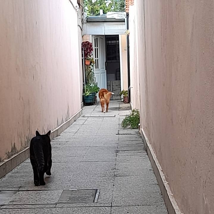 2e1f96ac d76c 4109 b50a 527908a6bc73 1755916270979