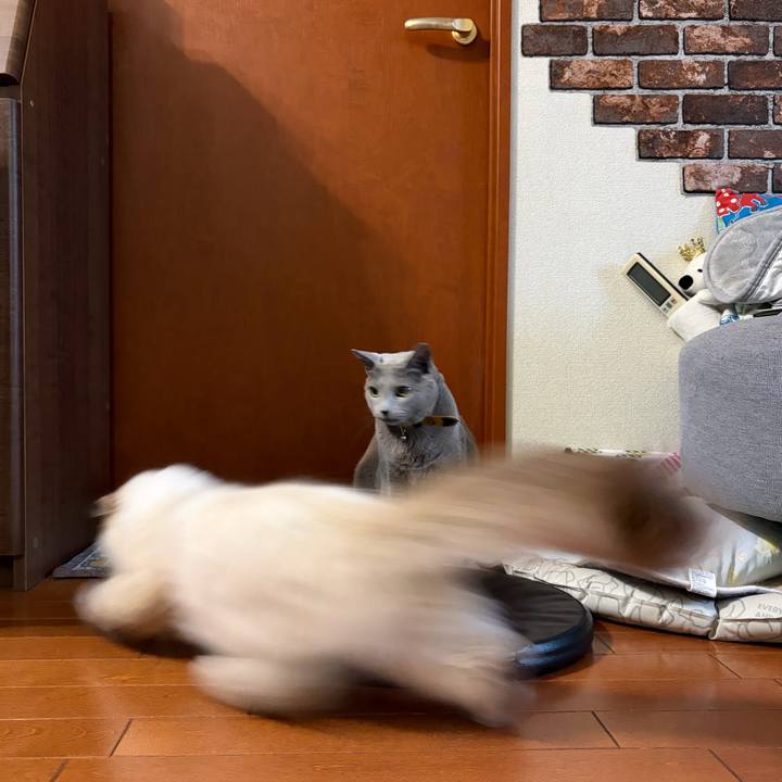 2e2004b2 86c7 45e2 b9cf fb5d30393ee1 1772917830044