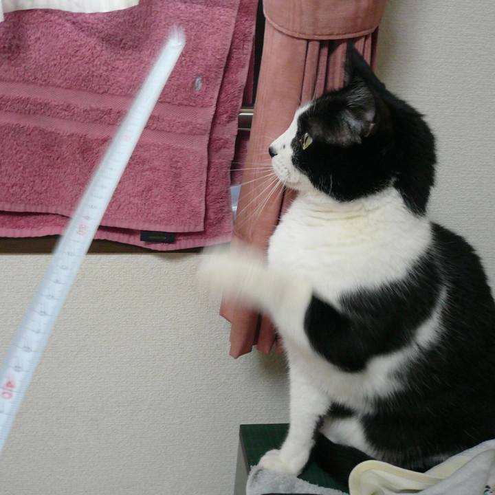 2e200a20 e874 4da9 859f 09efa7854073 1555044837973