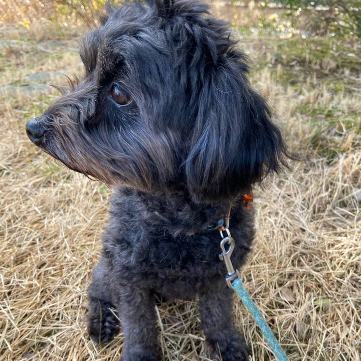 2e203cf8 53d7 47e9 a980 73c759ea1818 1609722397023