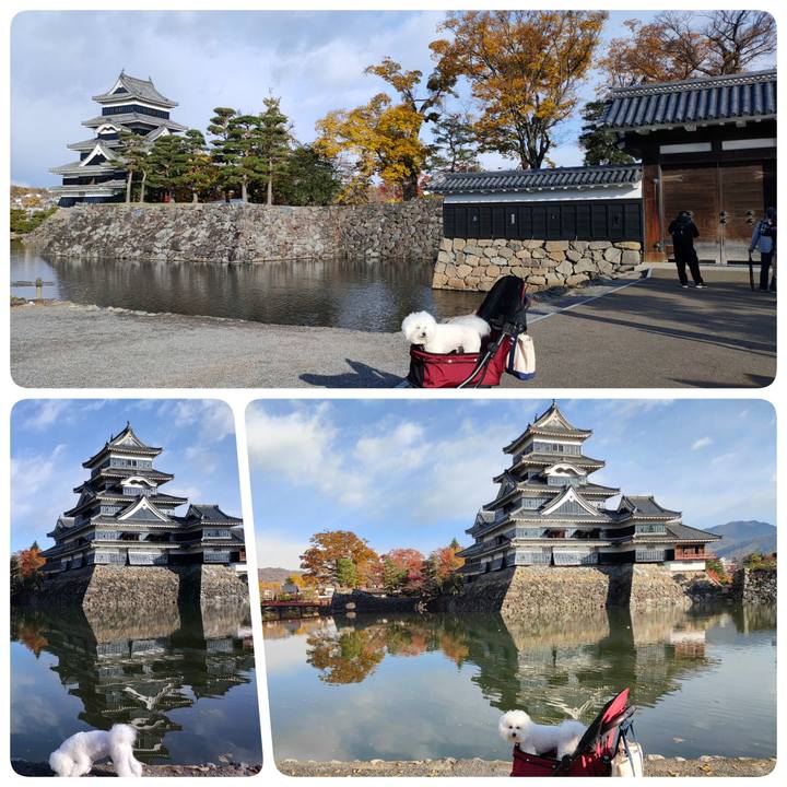 2e20437e 2963 4701 89bc 6de450419f99 1762862298934