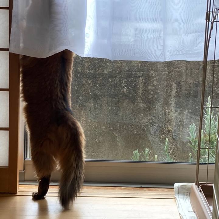 2e206e47 01c4 4203 9a55 6d724bdebc82 1613086358900