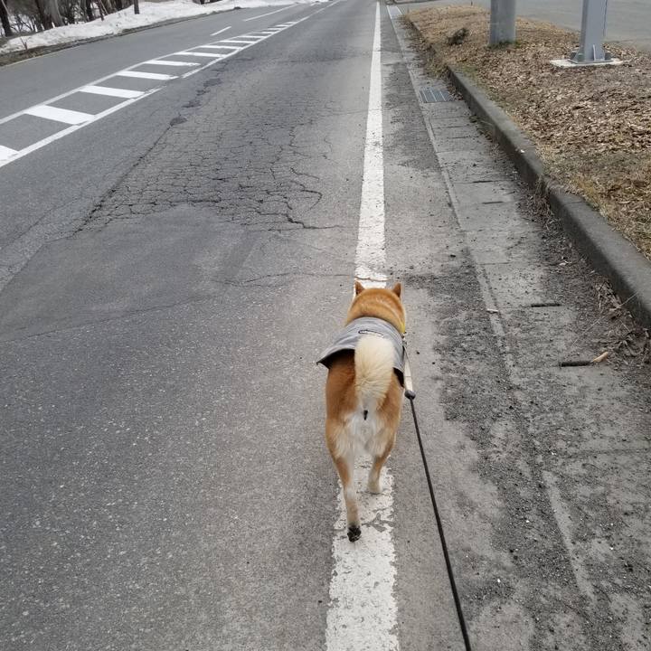 2e209996 2426 4fd6 906d d833033a62ba 1678949195606