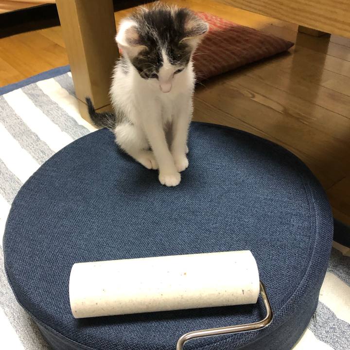 2e20c132 07eb 4b9a b1ff e895d22e224b 1561851354753