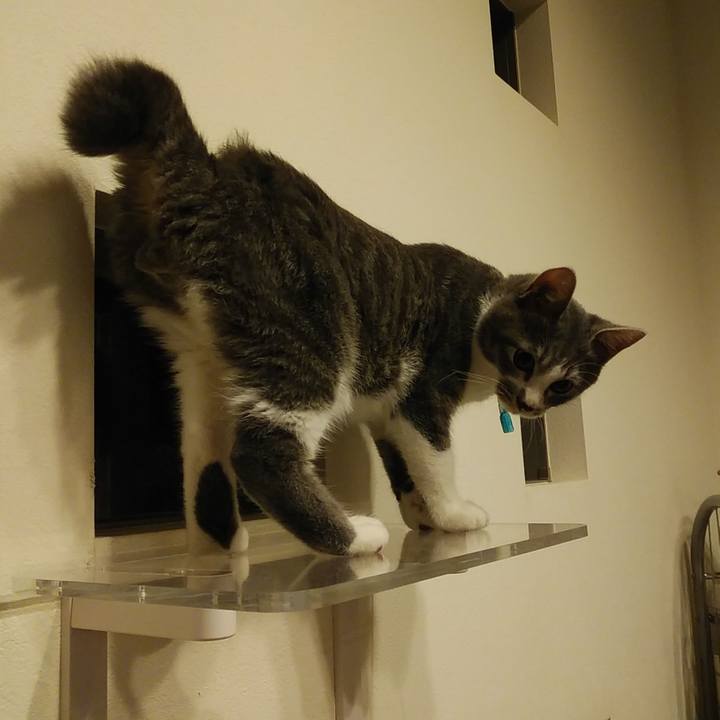 2e20eed8 e77e 431e 9368 5f2dfc889850 1569074718323