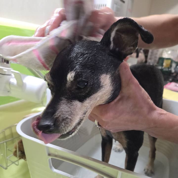 2e211f9f 7582 4118 a8b0 29583ef683d0 1772330606581