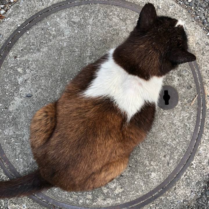 2e21559b 2fcf 489e 8a80 a2a2ba760674 1558367478737