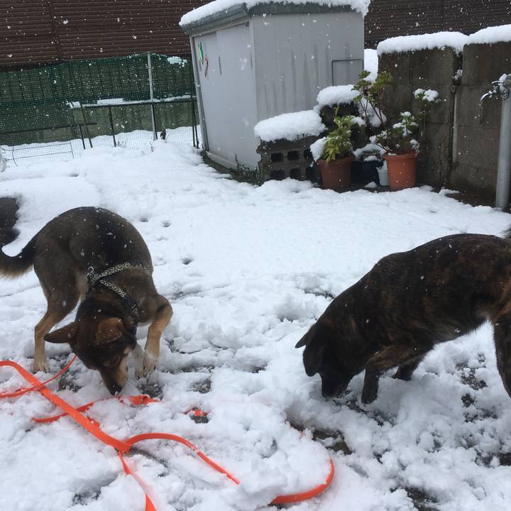 2e215c87 a708 4cdc 8458 3c14d1db6e7e 1515646468970