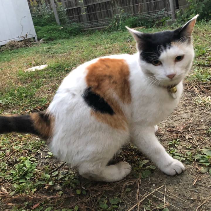 2e21865e 9014 42df 9538 88d4c6090169 1605478426163