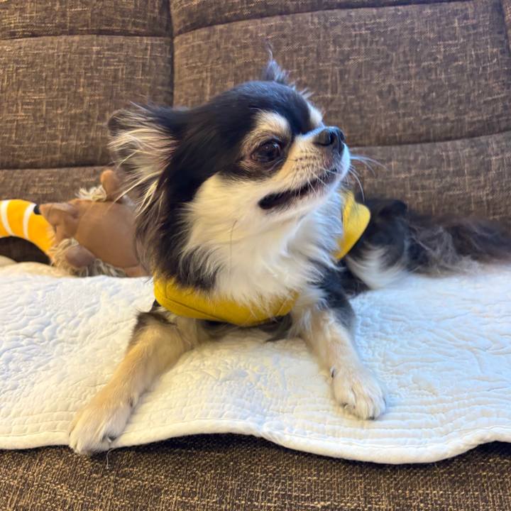 2e21cd99 c3df 44a4 a653 d4494c5bb98b 1764001121610