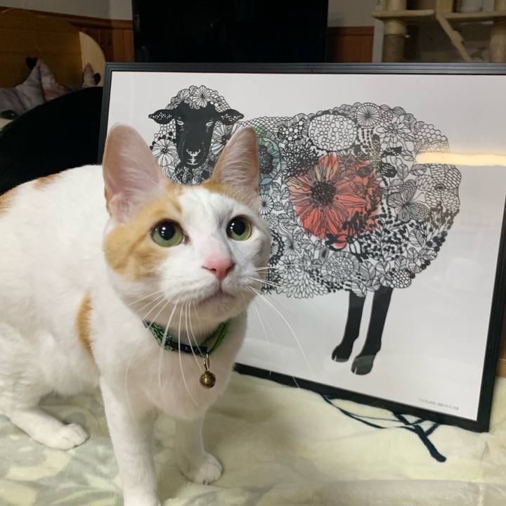 2e22062f 67ff 4add 8843 fd7b6ba885a7 1582109398811