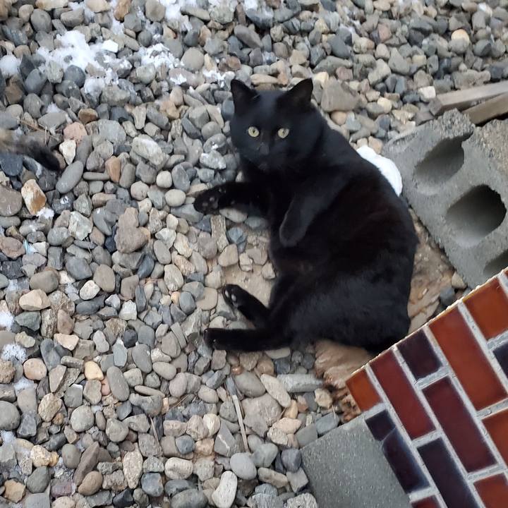 2e2226c0 09e8 4f4c af4f bef9d4f5c2c8 1702647217123