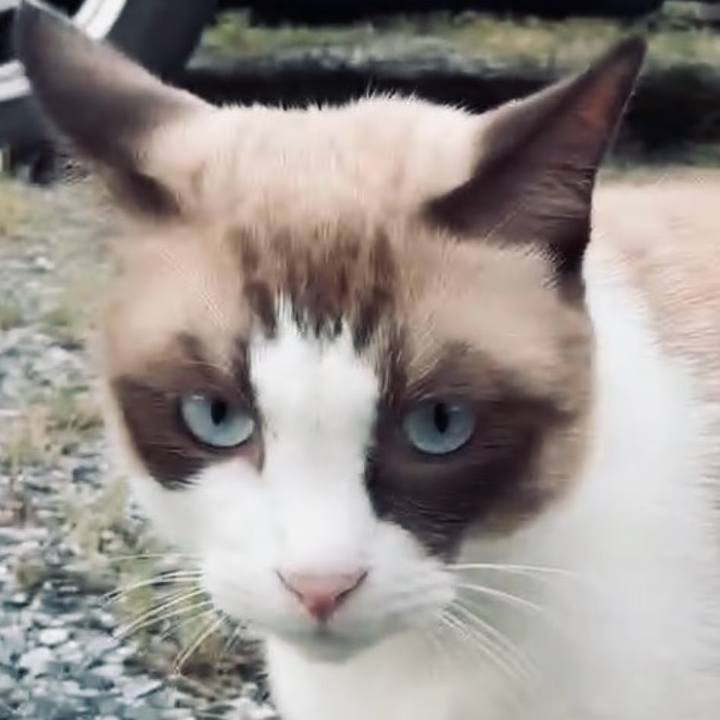 2e224cf0 2341 4988 be47 1aa8c73b8b74 1760773742422