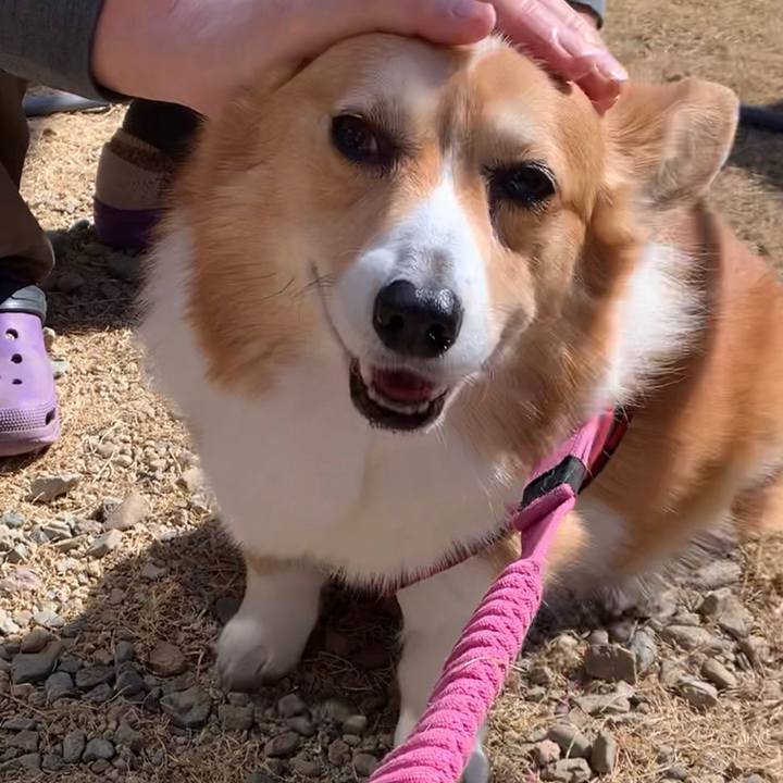 2e2253d0 5f0e 41cc 8853 0c5566b14c74 1677296010118