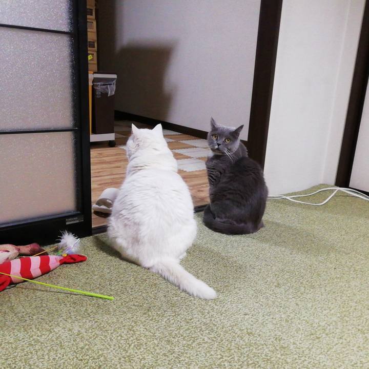 2e22595e 646c 46e9 9499 7977ad3b5581 1765424569927