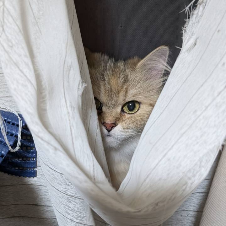 2e227694 f2d2 4f85 941b d8ae5b481d7f 1719843029524