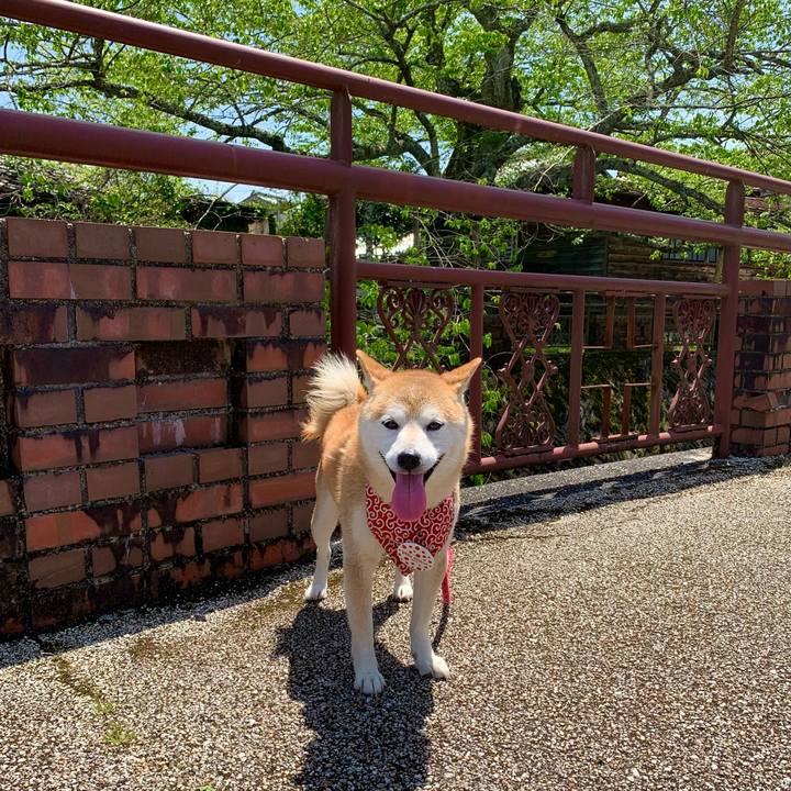 2e22a34a 6b02 4b3c b46a d1da1b348fc4 1682925894439