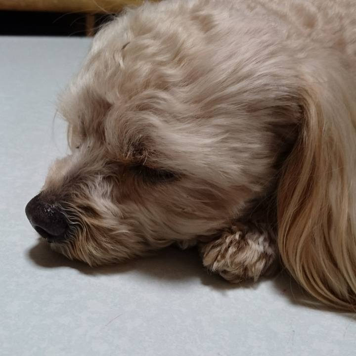 2e22b3b5 7e70 4aeb bffb 5aeeed8f6791 1518413601100