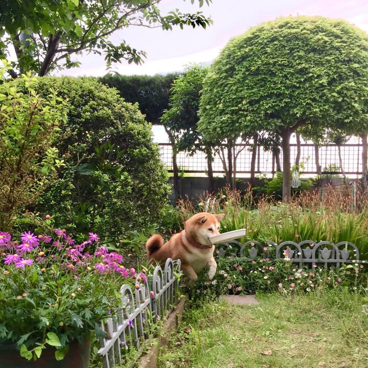 2e22b45c d6b3 4b2e be56 86cc0d5f52b8 1526194127901