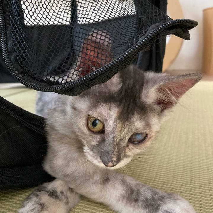 2e22cf28 6853 4273 99d0 00153afdef35 1693609168669